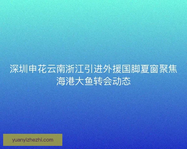 深圳申花云南浙江引进外援国脚夏窗聚焦海港大鱼转会动态 深圳申花云南浙江引进外援国脚夏窗聚焦海港大鱼转会动态