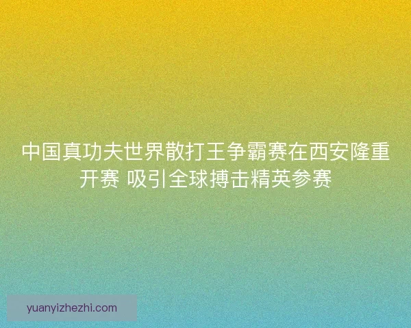 中国真功夫世界散打王争霸赛在西安隆重开赛 吸引全球搏击精英参赛 中国真功夫世界散打王争霸赛在西安隆重开赛 吸引全球搏击精英参赛